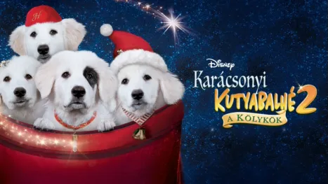 thumbnail - Karácsonyi kutyabalhé 2. - A kölykök