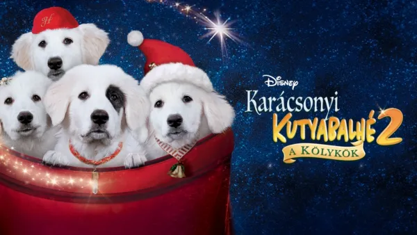 thumbnail - Karácsonyi kutyabalhé 2. - A kölykök