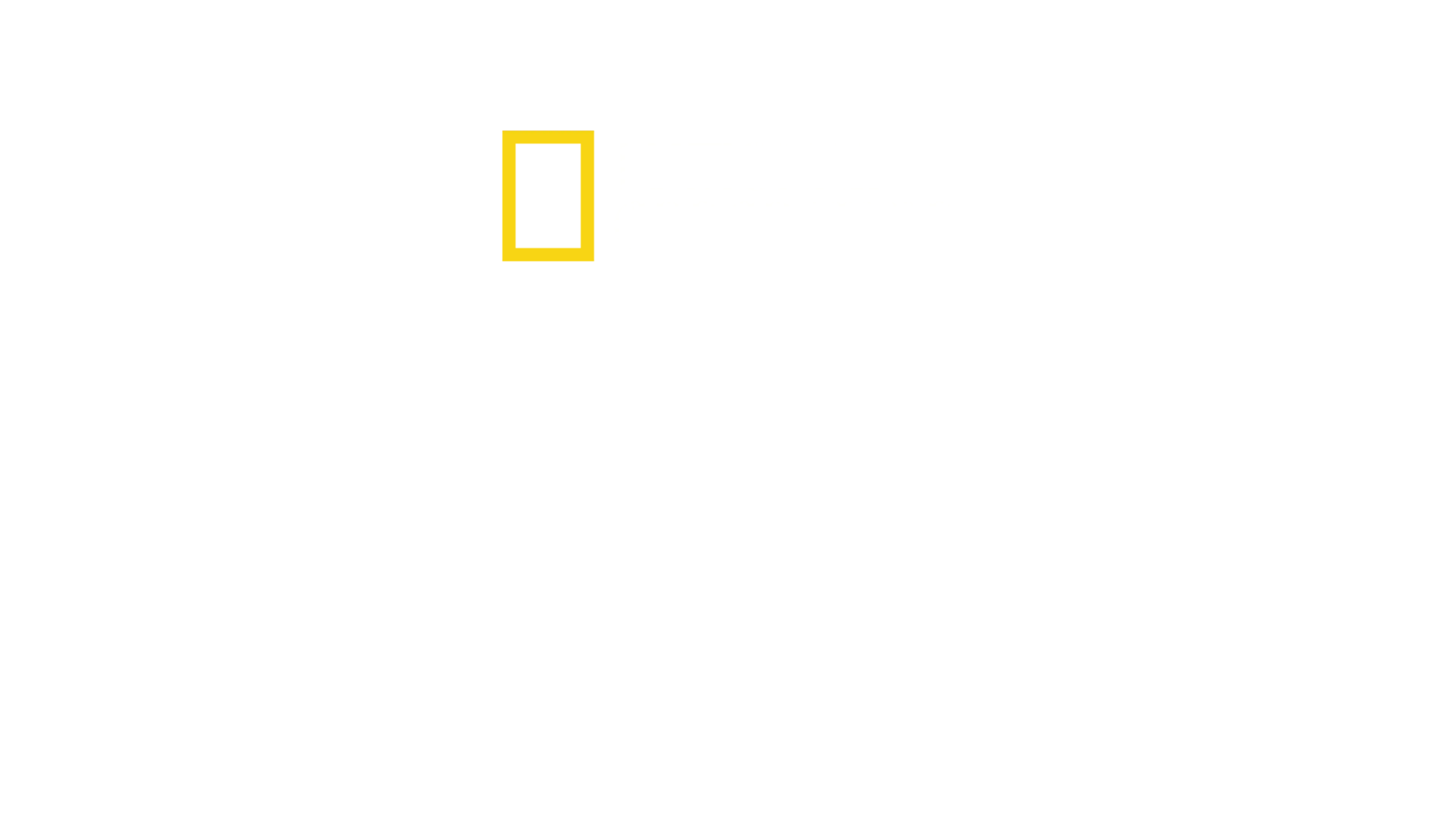 虎鲸世界