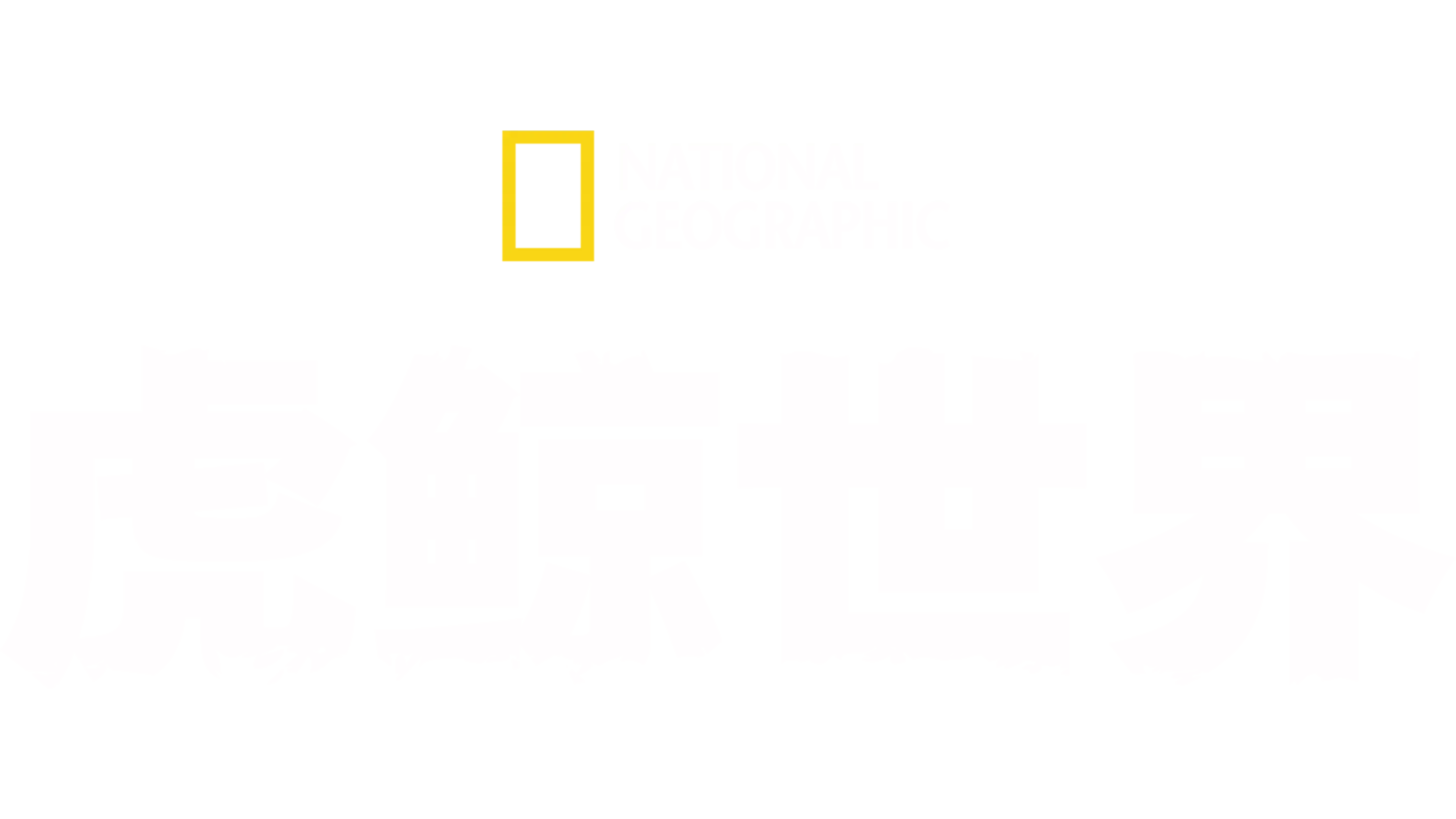 虎鲸世界