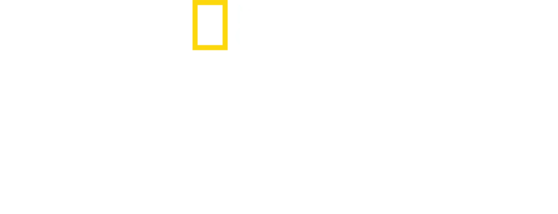 虎鲸世界