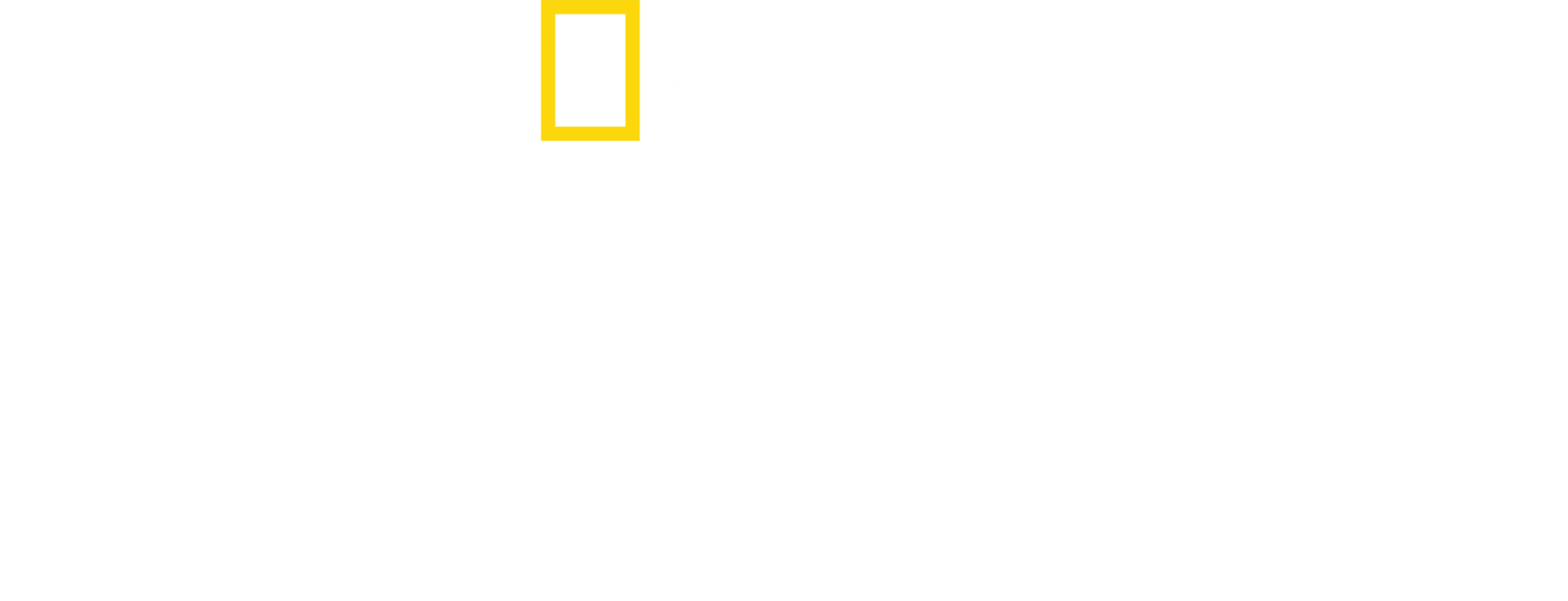 虎鲸世界