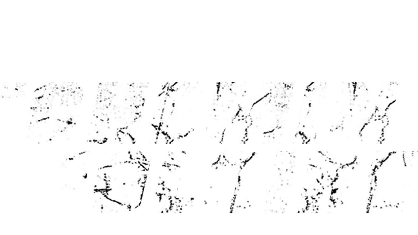 Le Chemin de la gloire