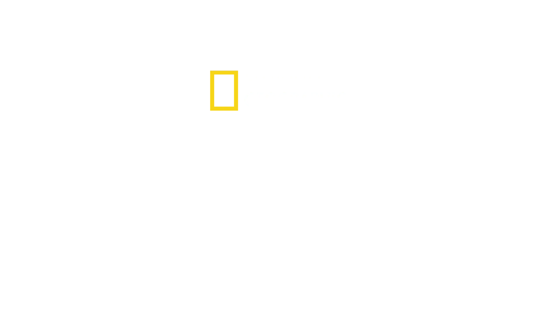 Triff die Schimpansen