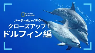 thumbnail - バーティのハイテク・クローズアップ！ドルフィン編