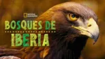thumbnail - Bosques de Iberia