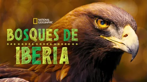 thumbnail - Bosques de Iberia