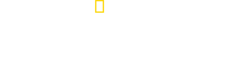 IMPACT with Gal Gadot