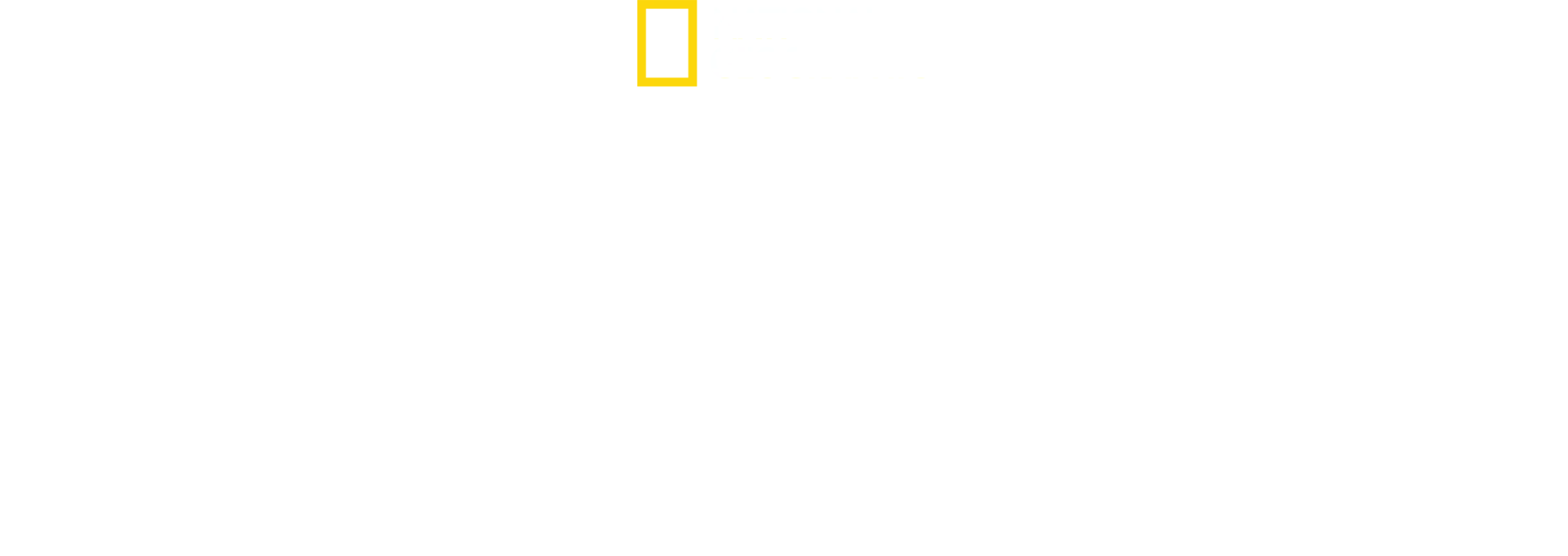 IMPACT with Gal Gadot