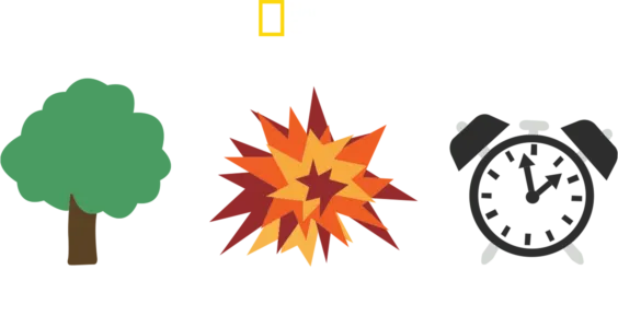 Οι Φίλοι μας τα Δέντρα