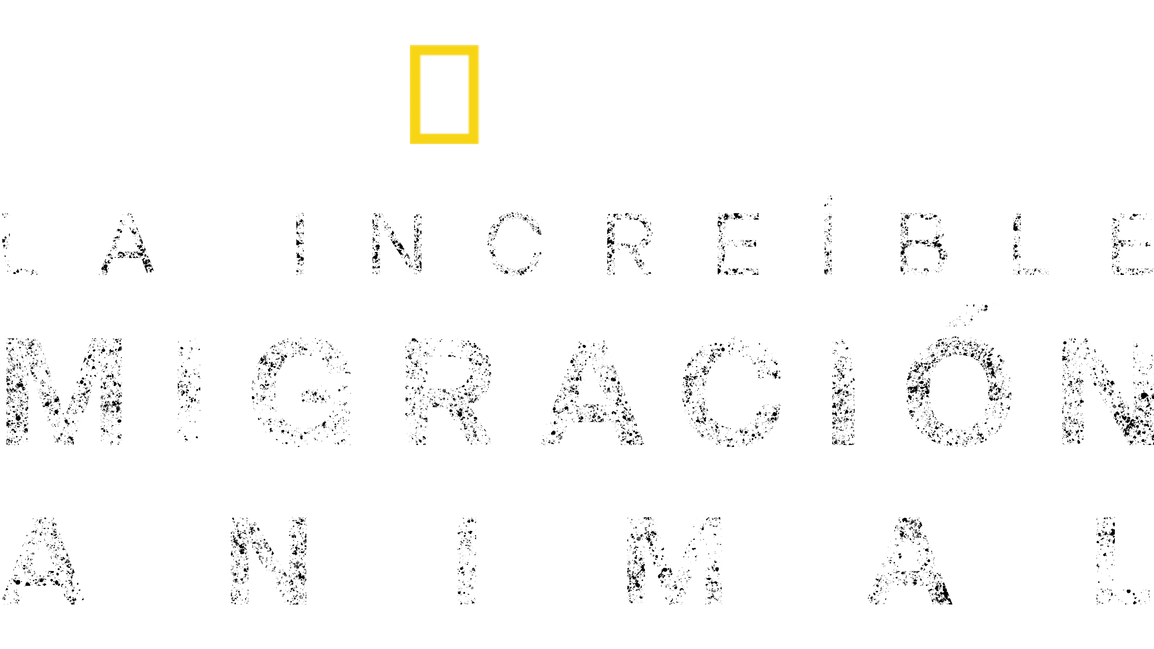 Viajes increíbles de animales