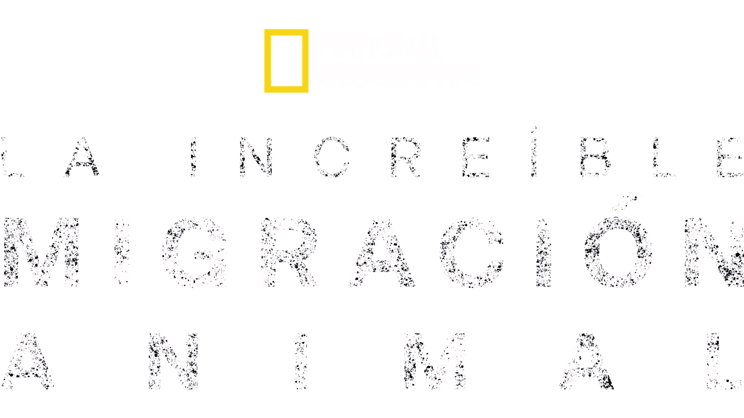 Viajes increíbles de animales