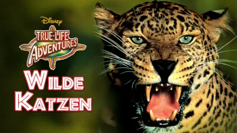 thumbnail - Wilde Katzen