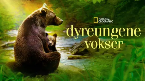 thumbnail - Dyreungene vokser