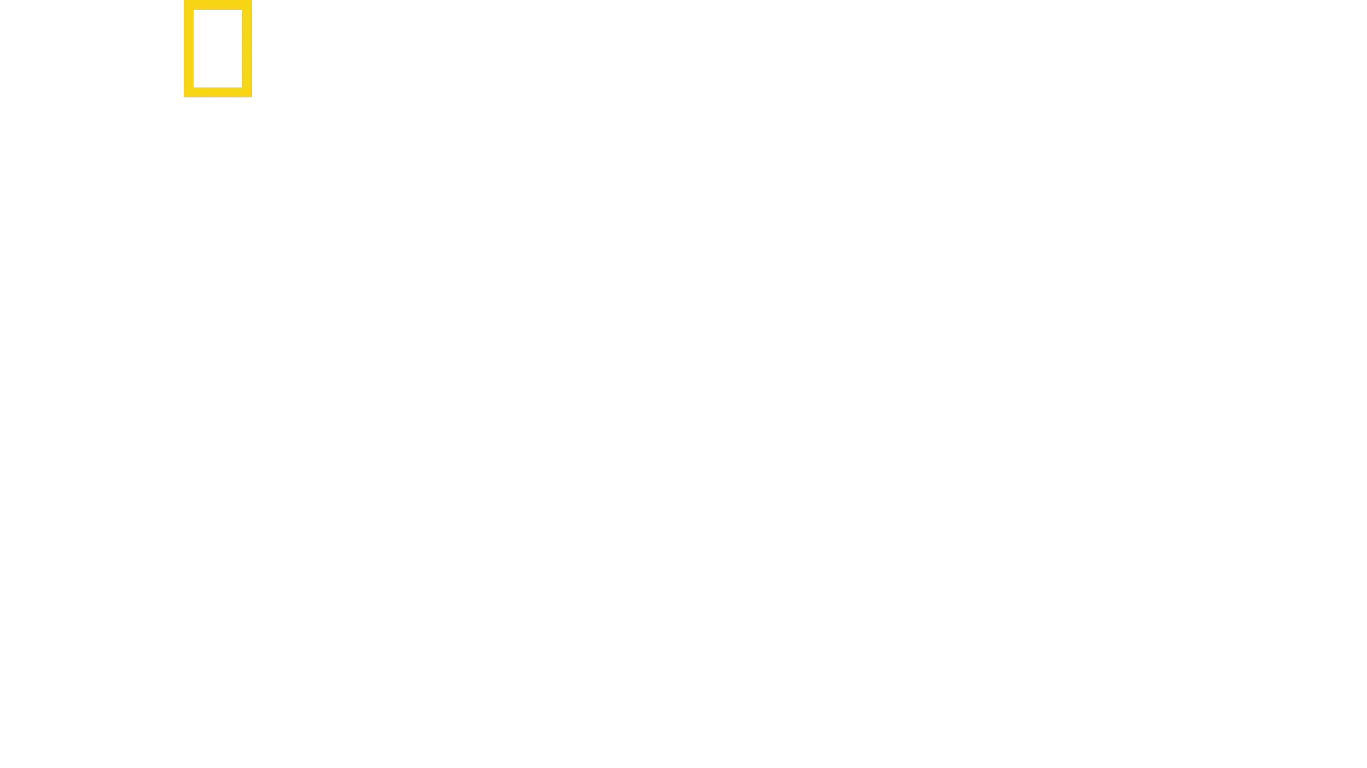 Paris To Pittsburgh