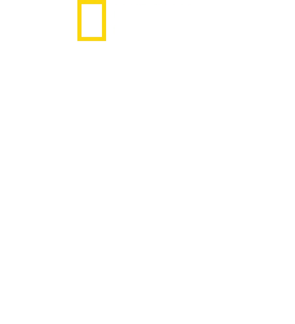 Paris To Pittsburgh