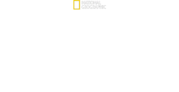 Haie - Die ultimativen Jäger