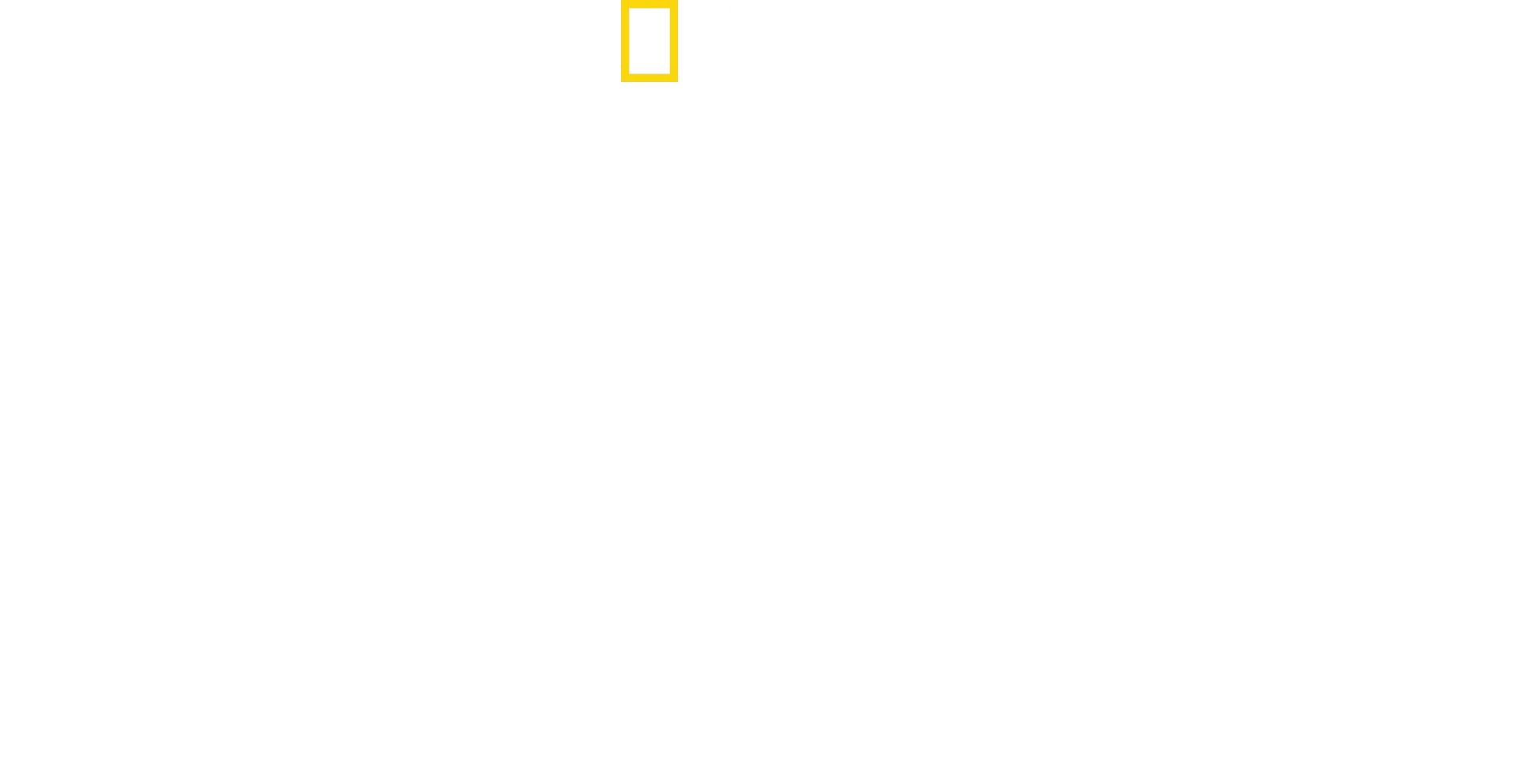 Haie - Die ultimativen Jäger