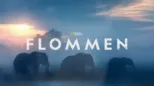thumbnail - Flommen