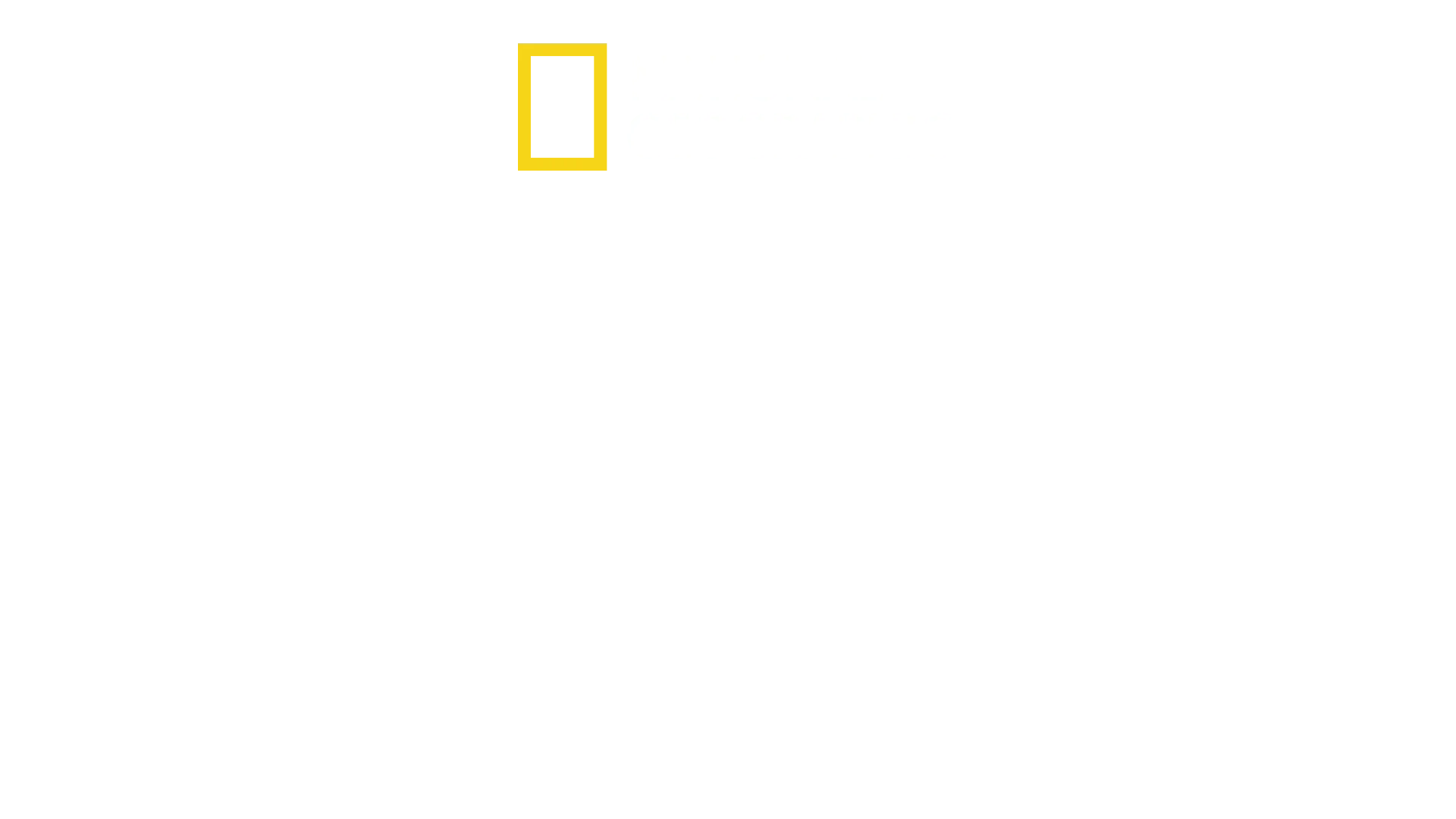 Traficado: Submundos com Mariana Van Zeller
