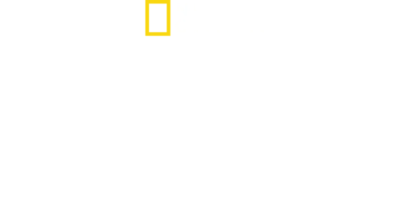 Na Rota do Tráfico com Mariana Van Zeller