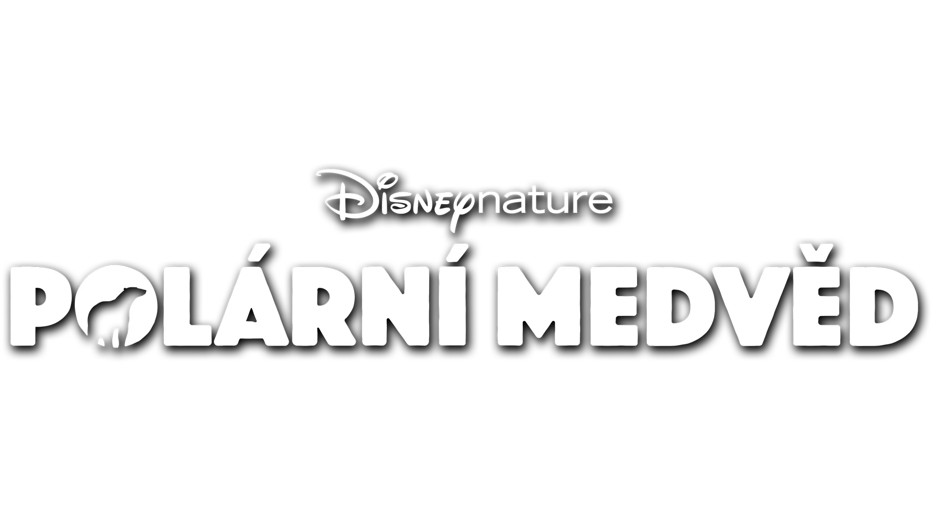 Polární medvěd