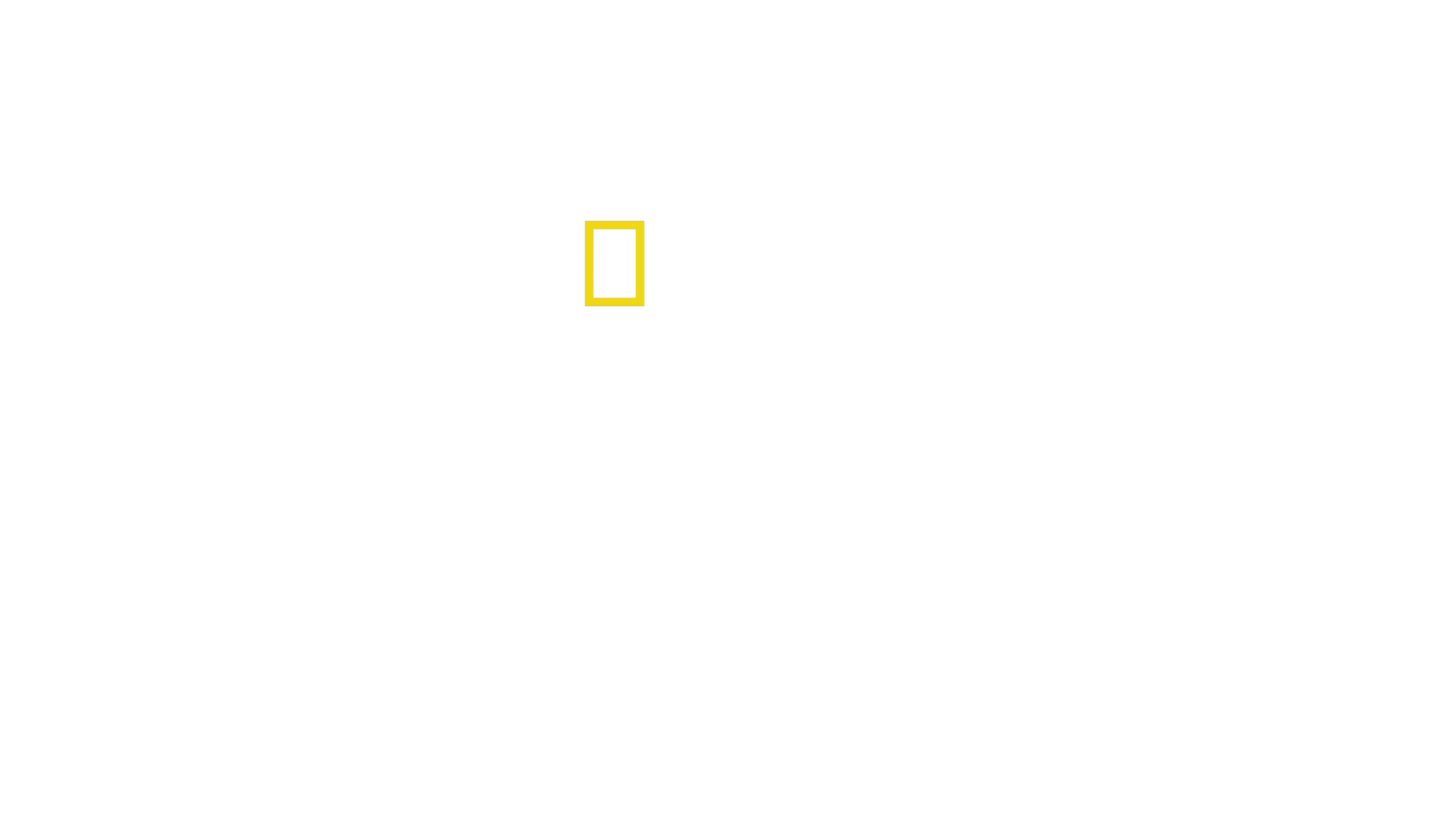 与黑猩猩有约