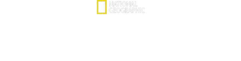 与黑猩猩有约