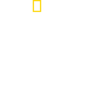 新 潜入！北朝鮮