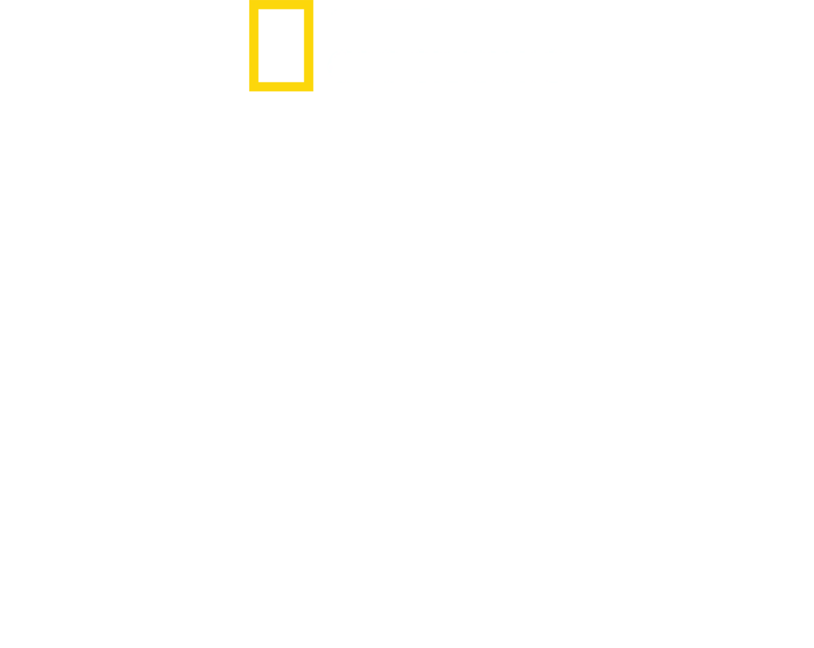 新 潜入！北朝鮮