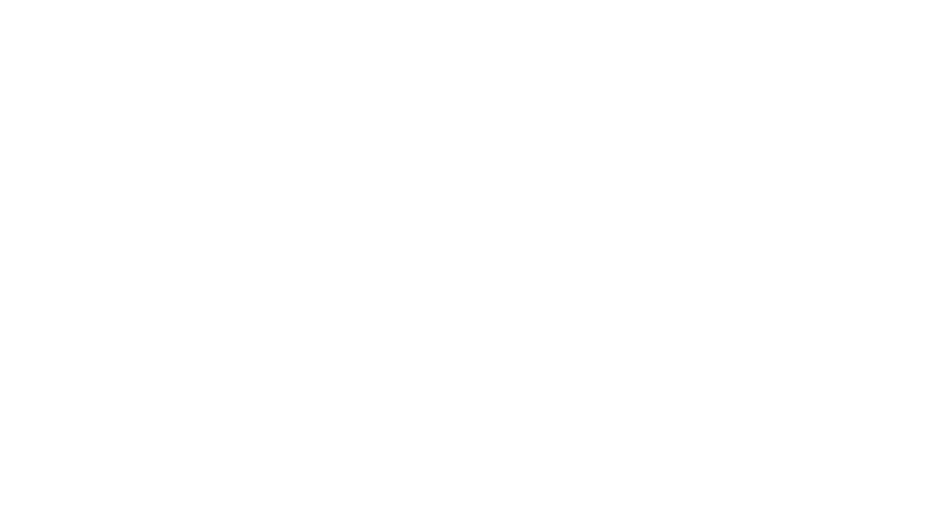Shared Custody