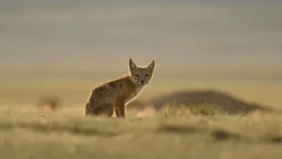 thumbnail - S1:E7 Grand Canyon