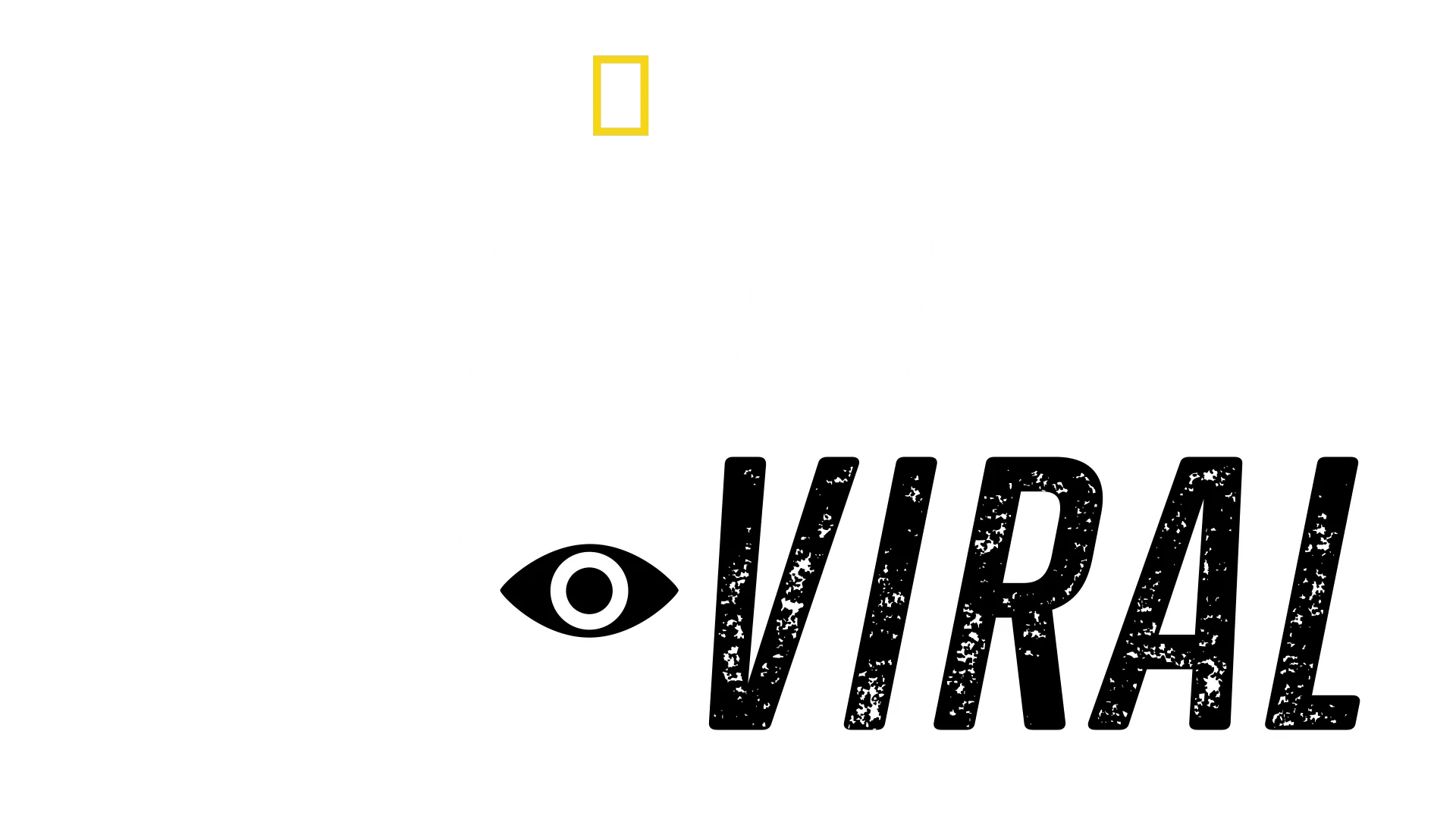 Sharks Gone Viral