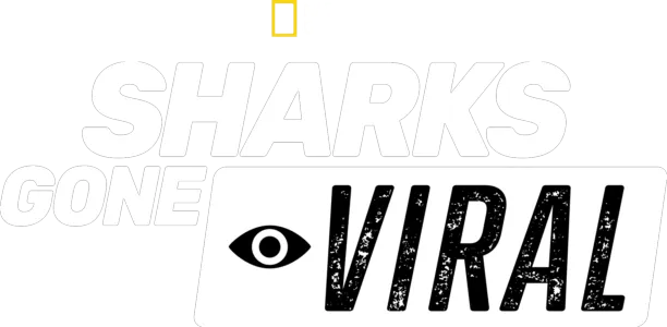Sharks Gone Viral