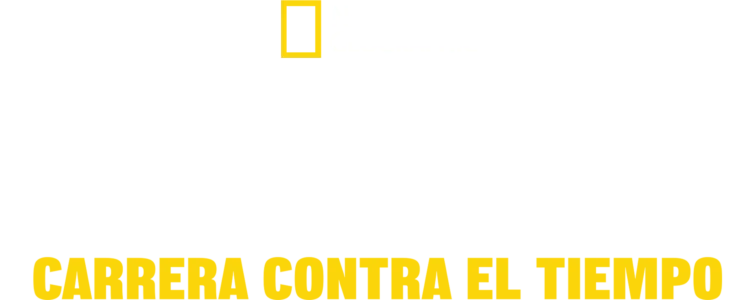 Tsunamis: Carrera contra el tiempo