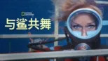 thumbnail - 与鲨共舞