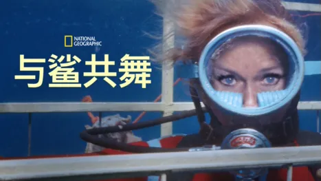 thumbnail - 与鲨共舞