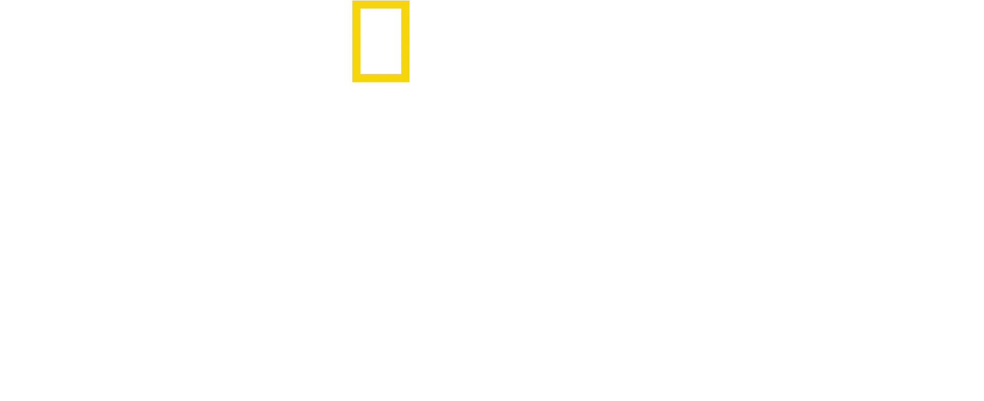 Les secrets des éléphants