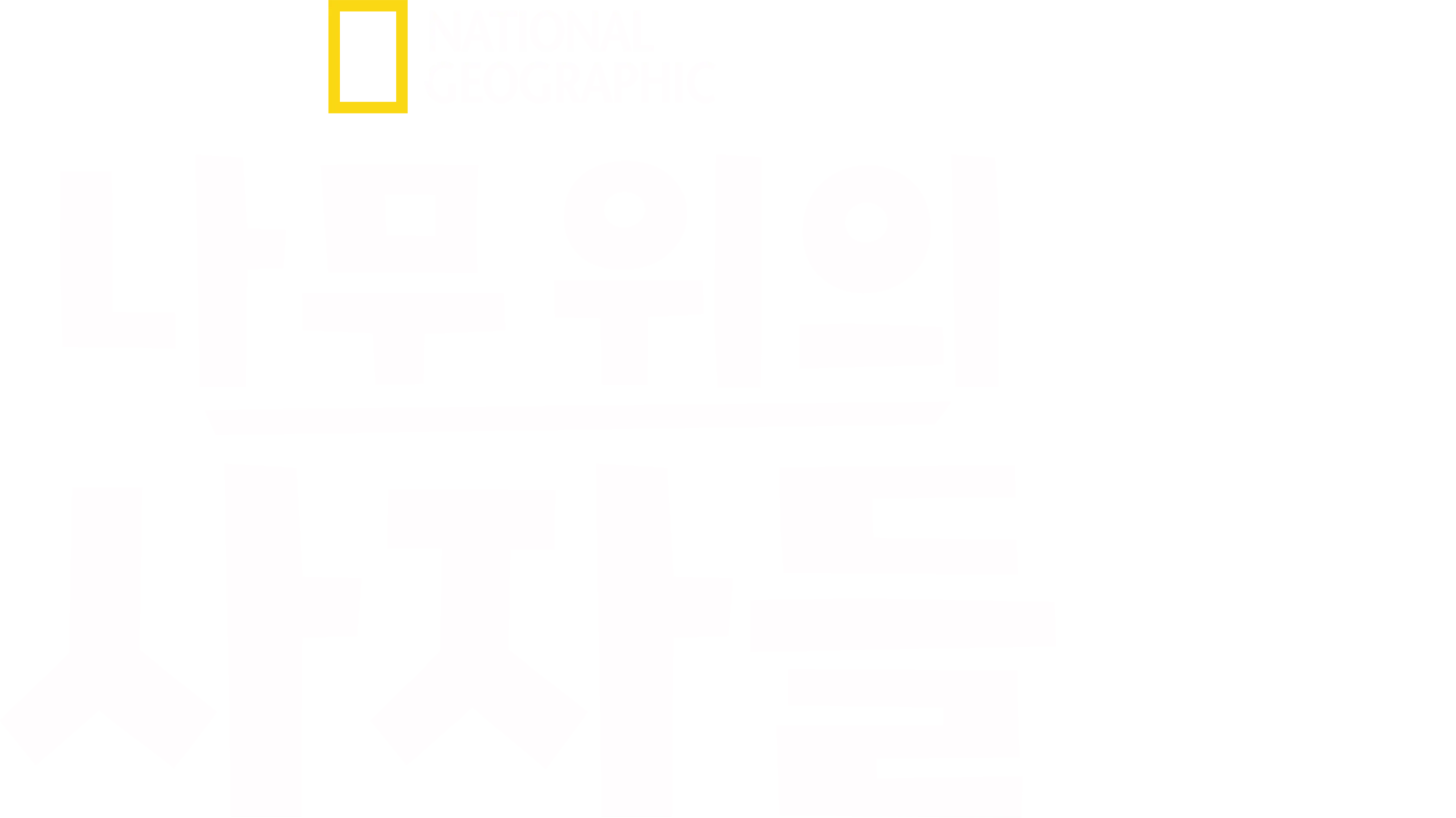 나무 위의 사자들