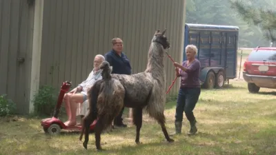 thumbnail - S24:E1 A DOCumentary