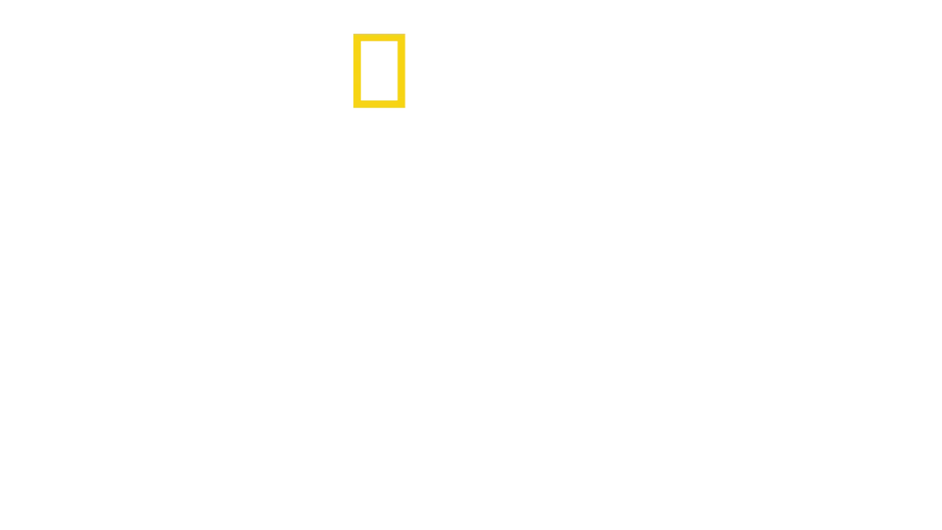 Jane: El legado