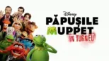 thumbnail - Păpușile Muppet în turneu