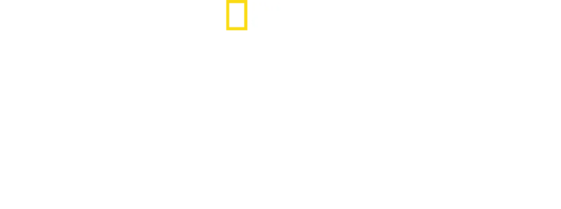 鸟类星球