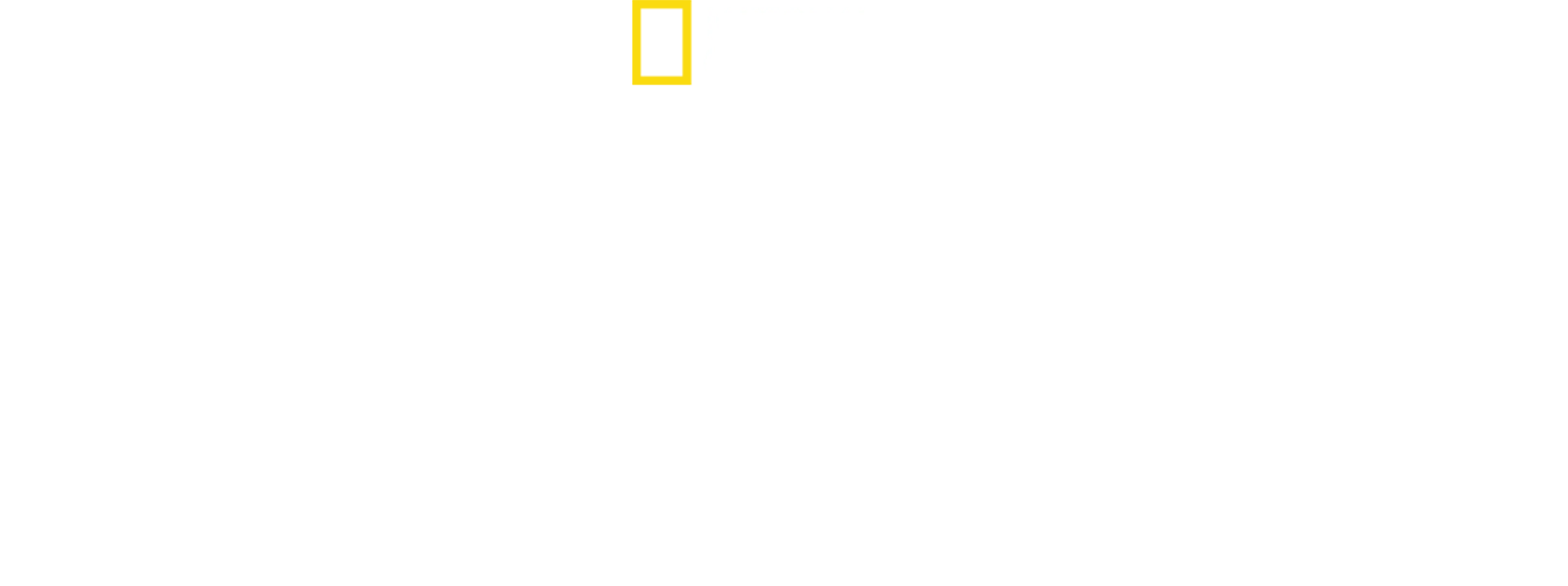 鸟类星球