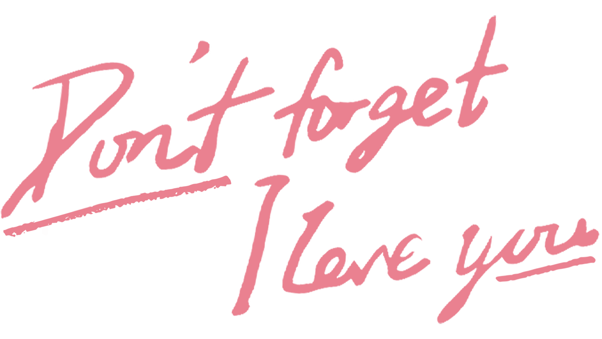Don't Forget I Love You