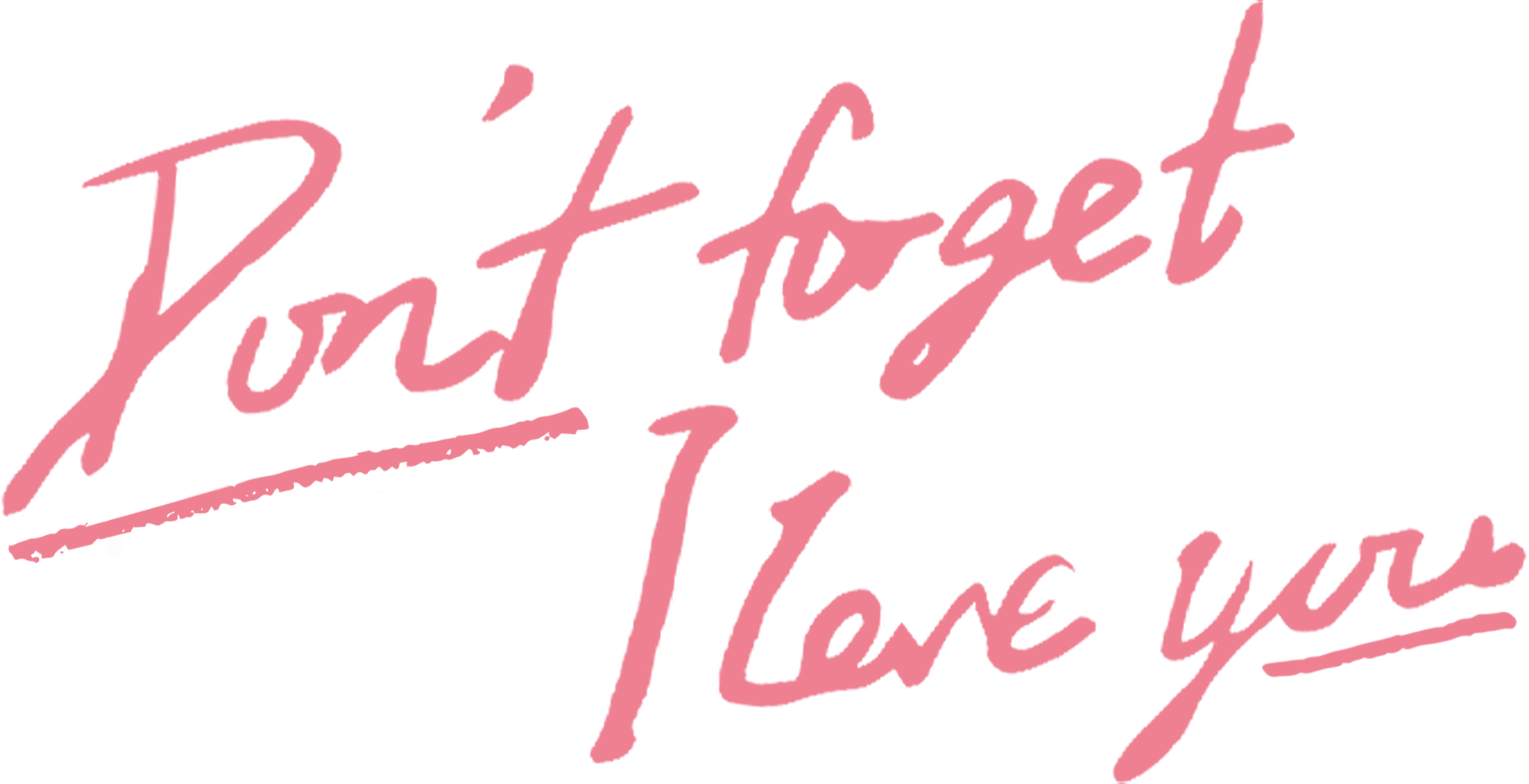 Don't Forget I Love You