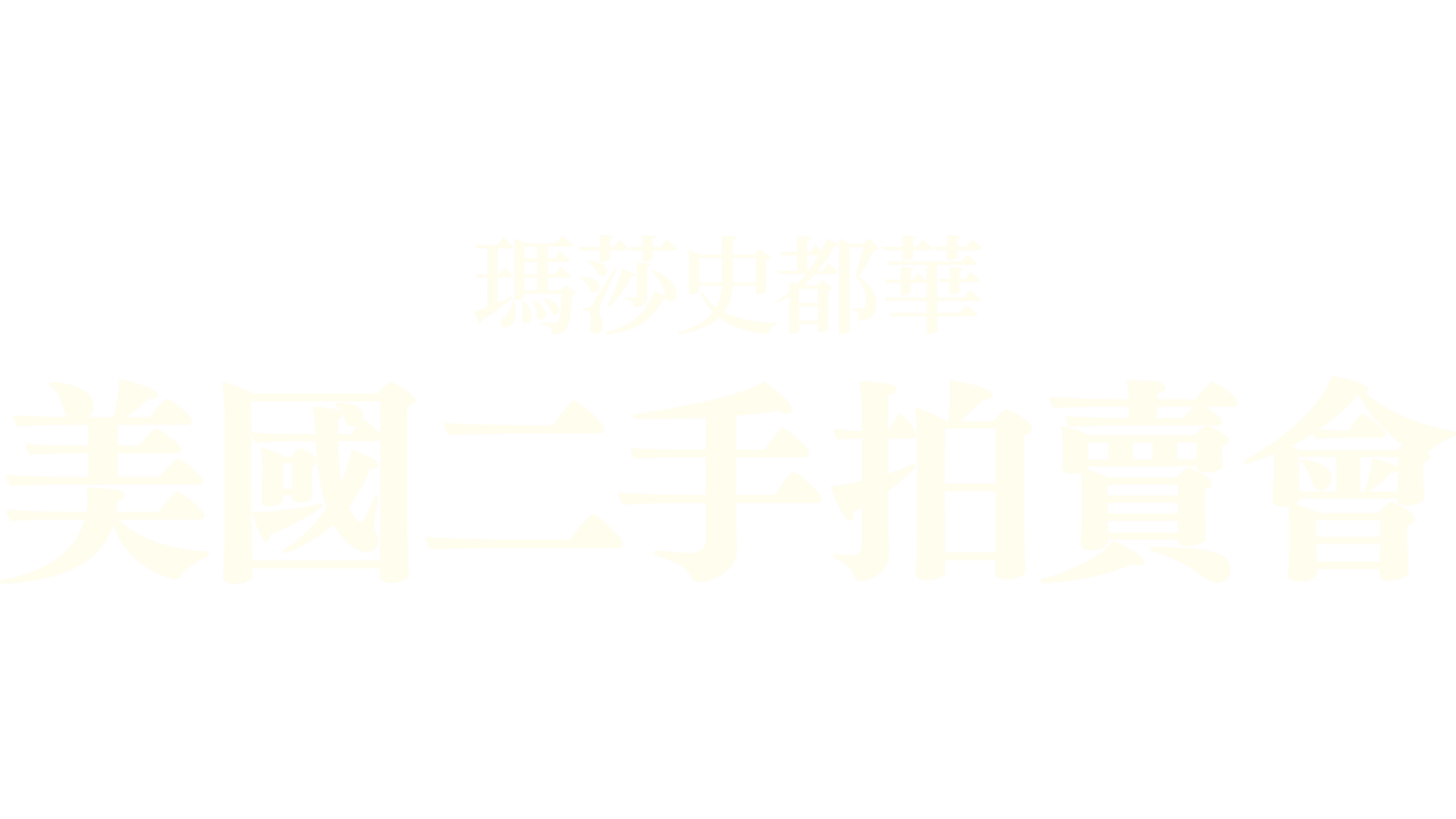 瑪莎史都華，美國二手拍賣會