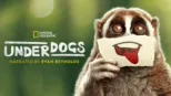 thumbnail - Underdogs
