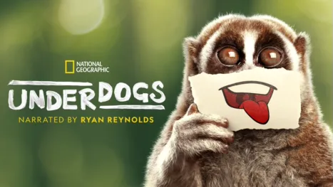 thumbnail - Underdogs