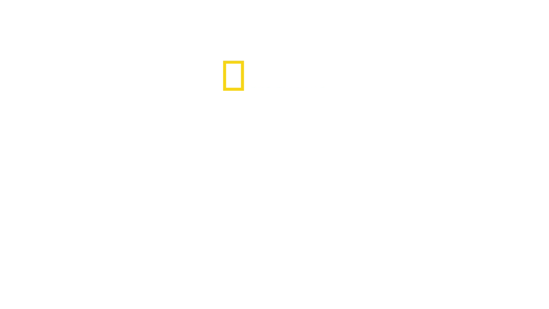 Warrior Graveyard